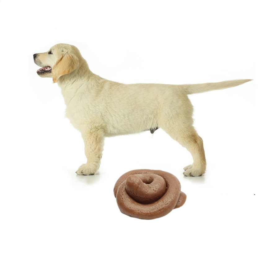 Fake Poop Gag Gift - Lustiges Scherz-Kot-Squishy-Spielzeug - Riesiger Realistischer Fake-Kot-Stressball,