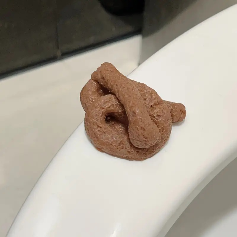 Realistisches schwimmendes Fak – Fake Poop Gag Gift Bewertung und Preis